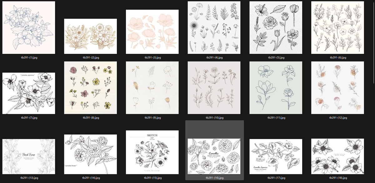 Vintage Hand-Drawn Floral Line Art & Botanical Illustrations — EPS Vector